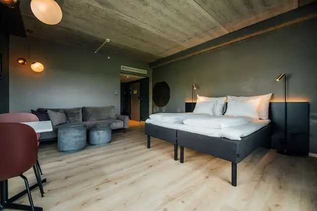 Deluxe Oda, Sigara İçilmez (Multiple Beds)