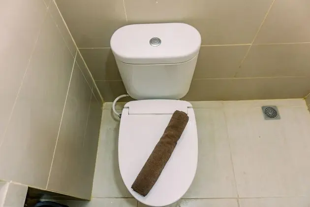 Stüdyo
