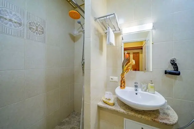 Superior Tek Büyük veya İki Ayrı Yataklı Oda