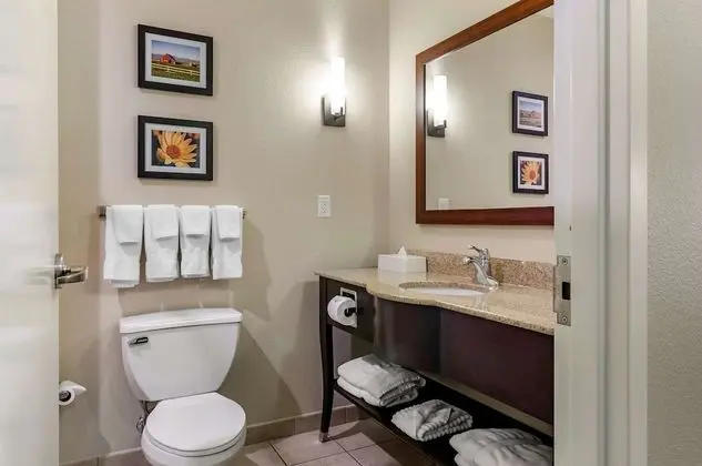Standard Süit, 1 En Büyük (King) Boy Yatak ve Çekyat, Engellilere Uygun (Accessible Bathtub)