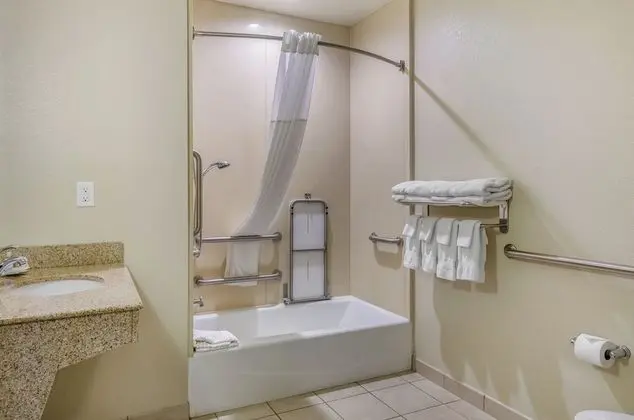 Standard Süit, 1 En Büyük (King) Boy Yatak ve Çekyat, Engellilere Uygun (Accessible Bathtub)
