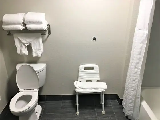 Süit, 1 En Büyük (King) Boy Yatak ve Çekyat, Engellilere Uygun, Sigara İçilmez (Roll In Shower)