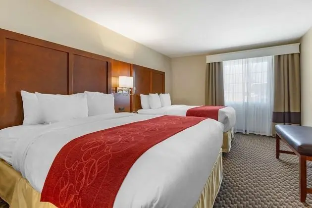 Süit, Sigara İçilmez, Mikrodalga (2 Queen Beds, Sofa, Accessible)