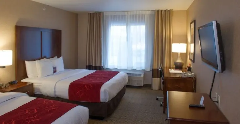 Suite, 2 Queen Bed with Sofabed