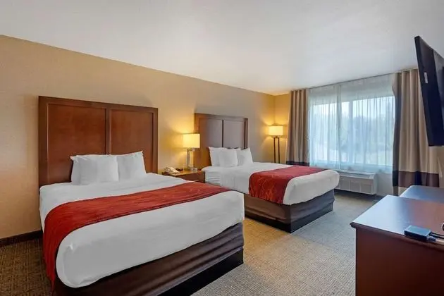 Suite, 2 Queen Bed with Sofabed