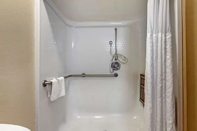Süit, 1 En Büyük (King) Boy Yatak ve Çekyat, Engellilere Uygun, Sigara İçilmez (Roll-In Shower)