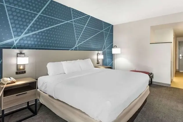 Süit, 1 En Büyük (King) Boy Yatak, Sigara İçilmez