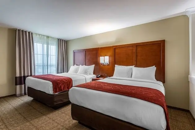 Suite 2 Queens Non Smoking 2 person Sofabed