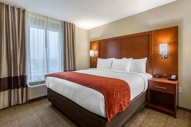 Suite Handicapped King Non Smoking 2 person Sofabed
