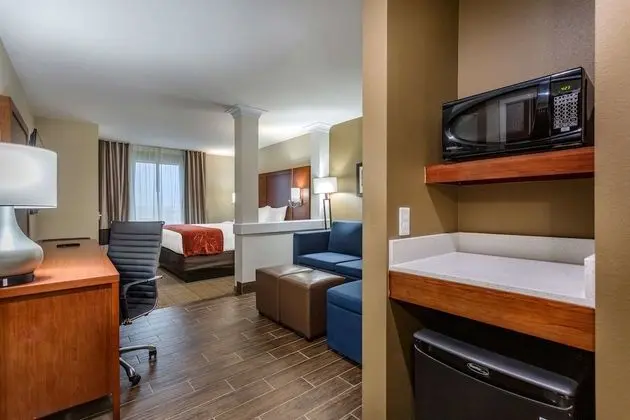 Suite Handicapped King Non Smoking 2 person Sofabed