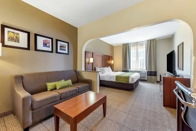 Business Süit, 1 En Büyük (King) Boy Yatak ve Çekyat, Sigara İçilmez (Pet Friendly)