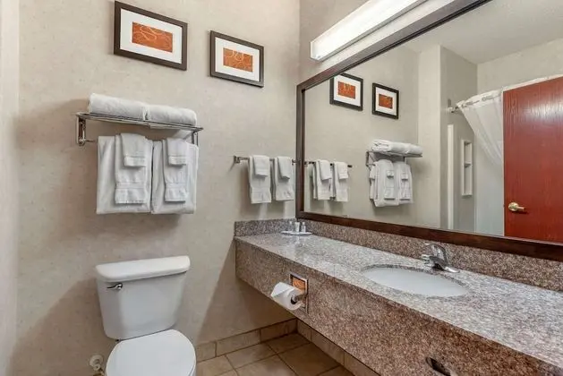 Business Süit, 1 En Büyük (King) Boy Yatak ve Çekyat, Sigara İçilmez (Pet Friendly)