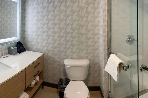 Süit, 1 En Büyük (King) Boy Yatak, Engellilere Uygun, Sigara İçilmez
