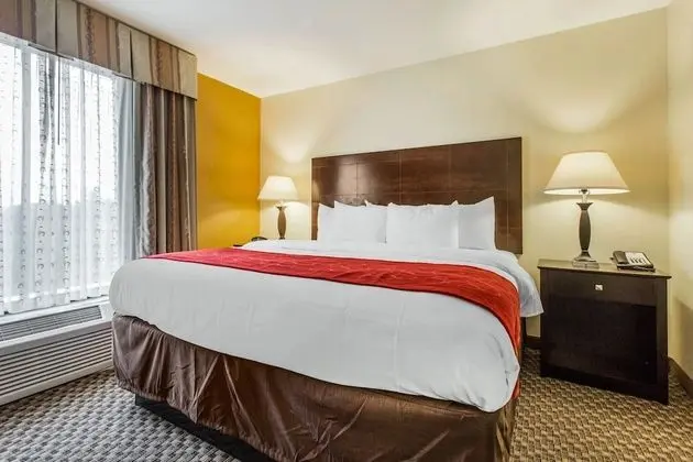 Süit, 1 En Büyük (King) Boy Yatak ve Çekyat, Engellilere Uygun, Sigara İçilmez