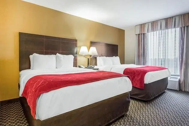 Süit, Birden Çok Yatak, Engellilere Uygun, Sigara İçilmez