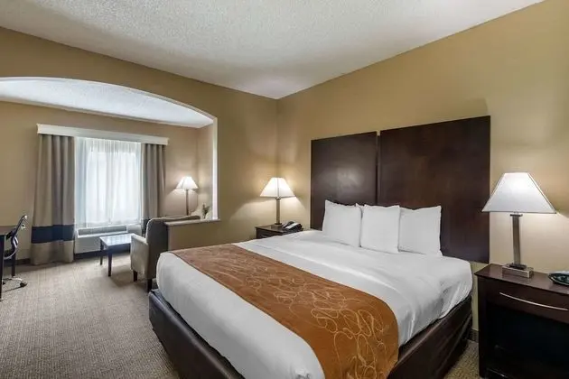 1 King Bed, Suite, Nonsmoking, Accessible