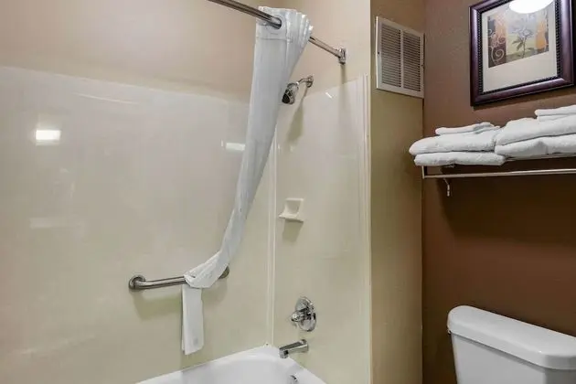 1 King Bed, Suite, Nonsmoking, Accessible