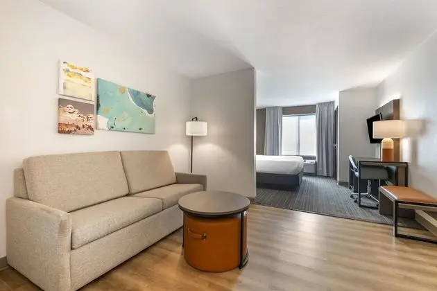Suite King Non Smoking 2 person Sofabed