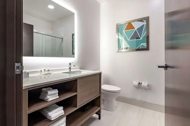 Süit, 1 En Büyük (King) Boy Yatak, Engellilere Uygun, Sigara İçilmez (Roll-in Shower)