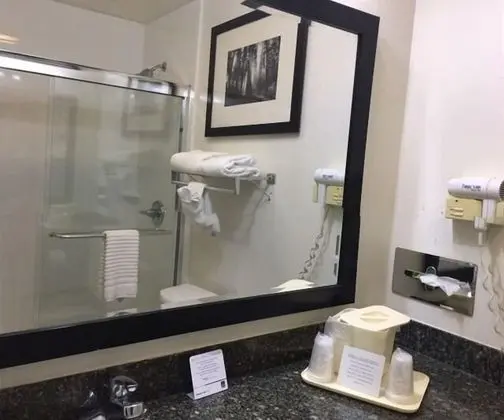 Standard Oda, 2 Çift Kişilik Yatak, Sigara İçilmez