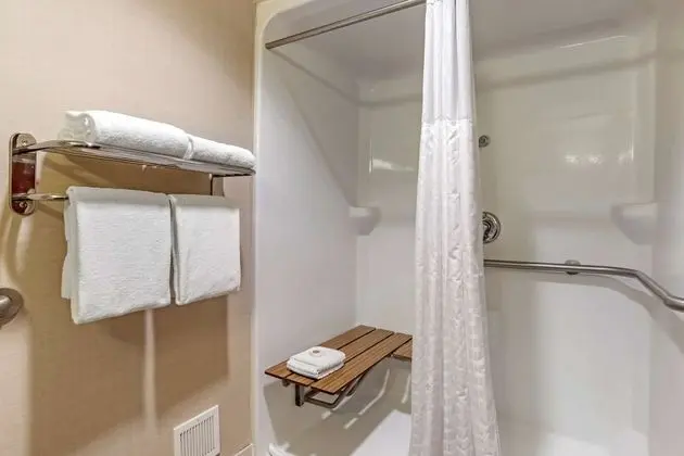 Süit, 1 En Büyük (King) Boy Yatak ve Çekyat, Engellilere Uygun, Sigara İçilmez (Roll-In Shower)