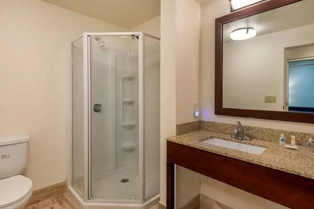Oda, 1 En Büyük (King) Boy Yatak ve Çekyat, Engellilere Uygun, Sigara İçilmez (2 Person Sofa Bed)