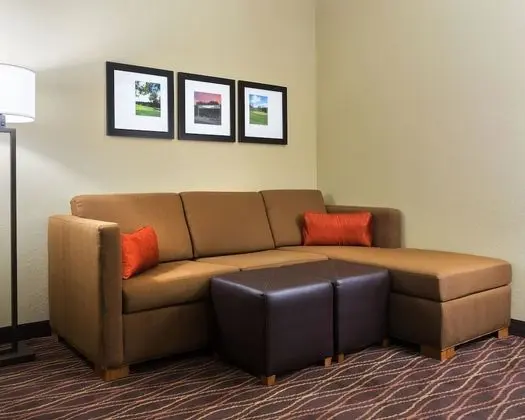 Süit, 1 En Büyük (King) Boy Yatak ve Çekyat, Engellilere Uygun, Sigara İçilmez (2 Person Sofa Bed)