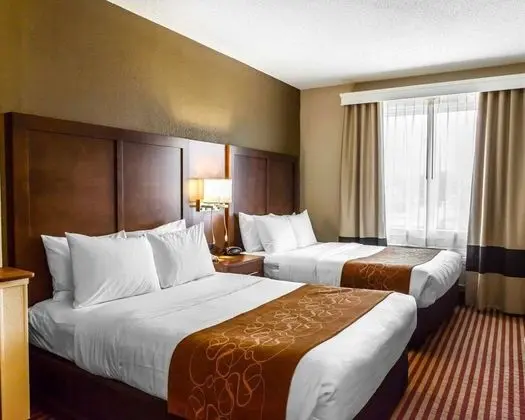 Çift ​​kişilik Two Queen Beds