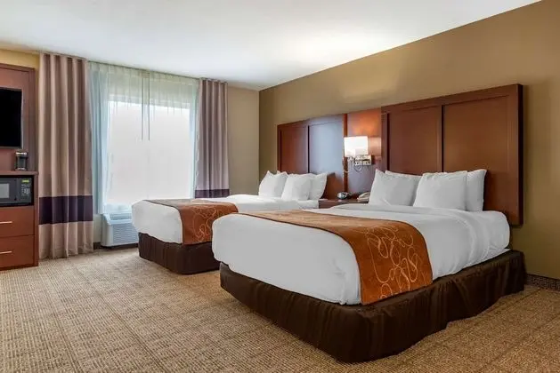 Süit, Birden Çok Yatak, Engellilere Uygun, Sigara İçilmez