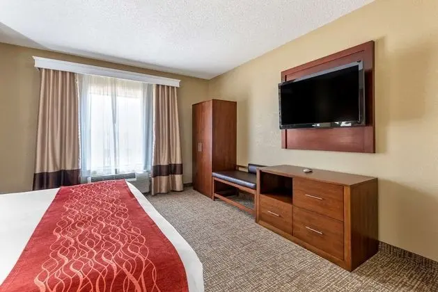 Süit, 1 En Büyük (King) Boy Yatak ve Çekyat, Engellilere Uygun, Sigara İçilmez