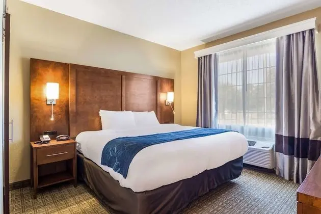 Süit, 1 En Büyük (King) Boy Yatak, Engellilere Uygun, Sigara İçilmez (Interior Corridor)