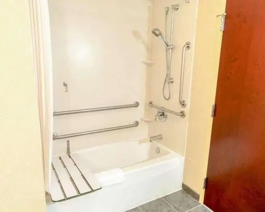 Premium Stüdyo Süit, 1 En Büyük (King) Boy Yatak ve Çekyat, Engellilere Uygun