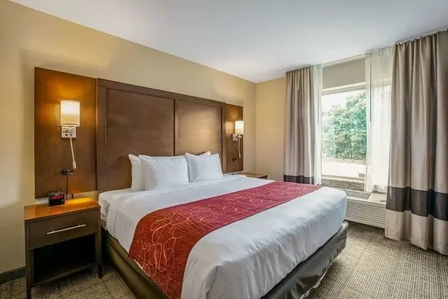 One King Bed Non Smoking With 1 Person Sofa Bed