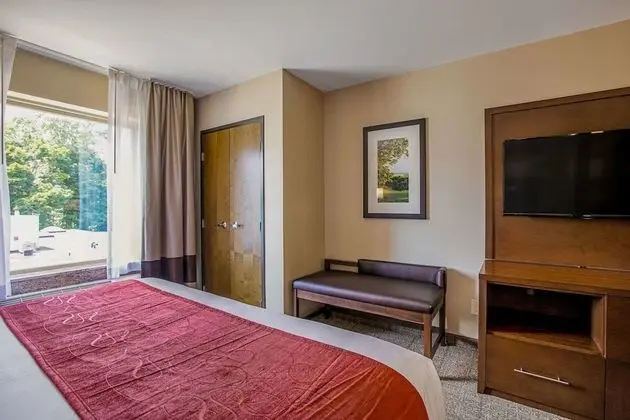 One King Bed Non Smoking With 1 Person Sofa Bed