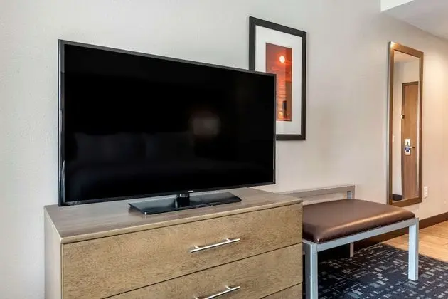 1 King Bed, Suite, Nonsmoking, Accessible