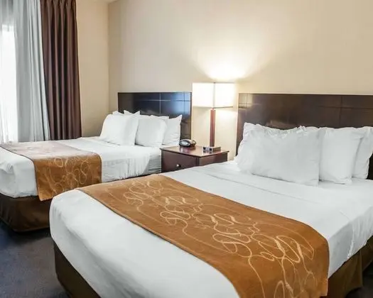 Süit, Engellilere Uygun, Sigara İçilmez (2 Queen Beds & 1 Sofa Bed)
