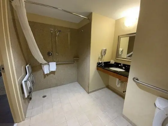 Oda, 1 En Büyük (King) Boy Yatak, Engellilere Uygun, Sigara İçilmez (Roll-In Shower)