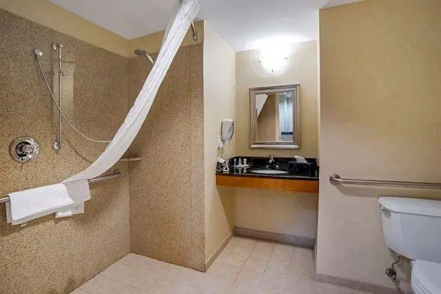 Oda, 1 En Büyük (King) Boy Yatak, Engellilere Uygun, Sigara İçilmez (Roll-In Shower)