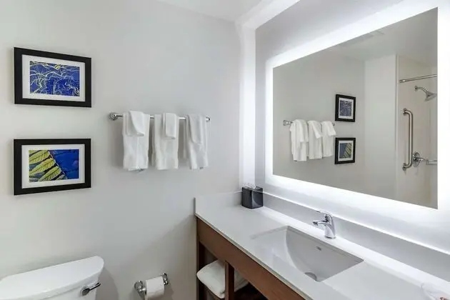 Süit, 1 En Büyük (King) Boy Yatak, Engellilere Uygun, Sigara İçilmez (Accessible Tub)