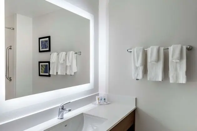 Süit, 1 En Büyük (King) Boy Yatak, Engellilere Uygun, Sigara İçilmez (Roll-In Shower)