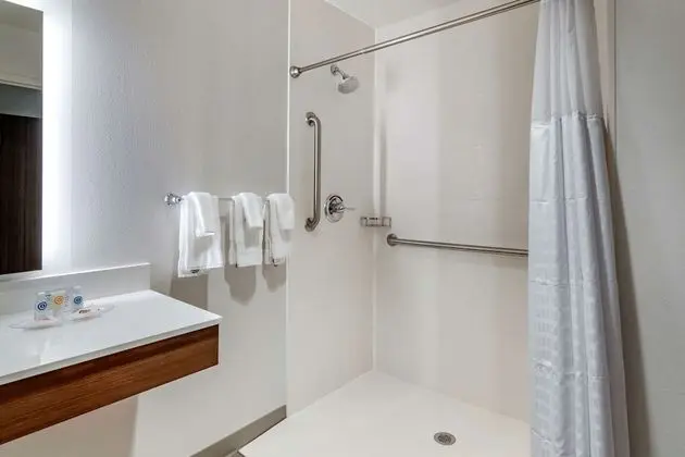 Süit, 1 En Büyük (King) Boy Yatak, Engellilere Uygun, Sigara İçilmez (Roll-In Shower)