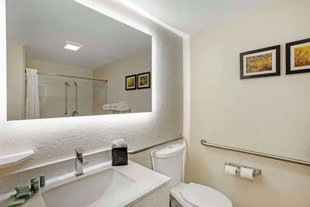 Süit, 1 Tek Kişilik Yatak, Engellilere Uygun, Sigara İçilmez (with Single Sofabed)