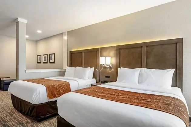 Suite 2 Queens Non Smoking 1 person Sofabed