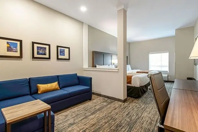 Suite 2 Queens Non Smoking 1 person Sofabed
