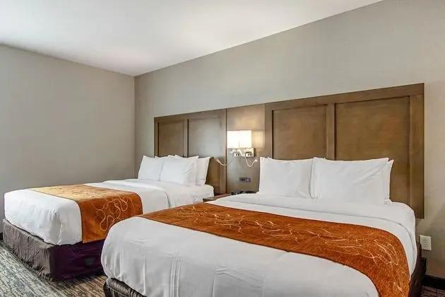 Suite 2 Queens Non Smoking 1 person Sofabed
