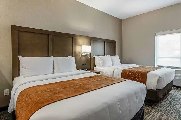 Suite 2 Queens Non Smoking 1 person Sofabed