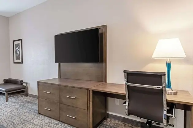 Suite 2 Queens Non Smoking 1 person Sofabed