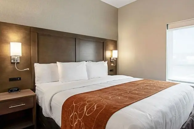 Suite King Non Smoking 1 person Sofabed