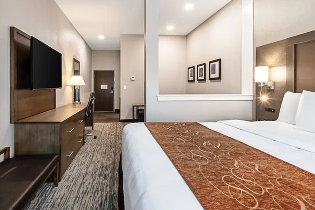 Suite King Non Smoking 1 person Sofabed
