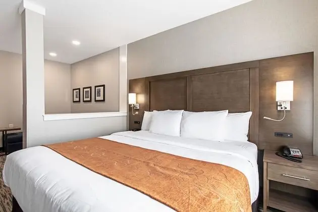 Suite King Non Smoking 1 person Sofabed
